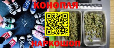 гидропоника Краснознаменск
