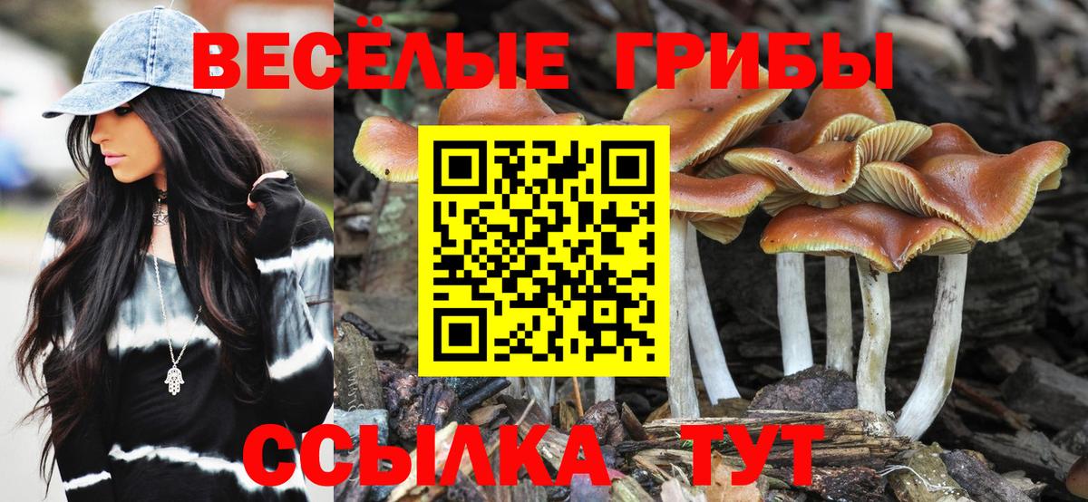 где можно купить   Псилоцибиновые грибы GOLDEN TEACHER  Псилоцибиновые грибы GOLDEN TEACHER  Вход с VPN  Котельники 