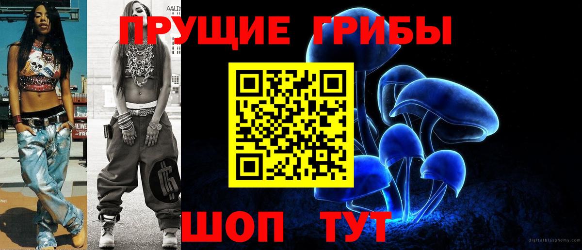 Псилоцибиновые грибы Psilocybe Котельники
